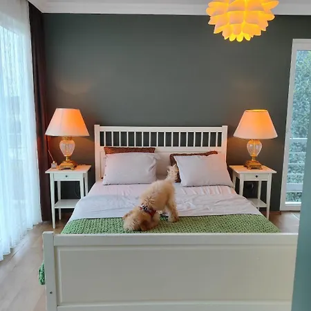 Hotel Triplex Luxury