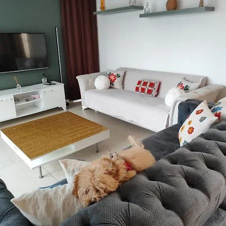 Triplex Luxury Hotel