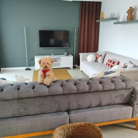 Hotel Triplex Luxury