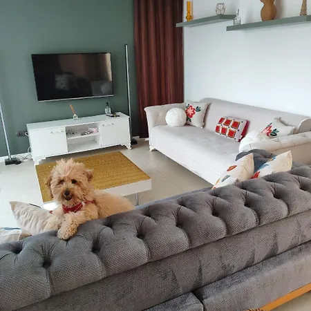 Triplex Luxury Hotel